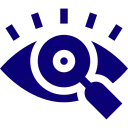 Vision icon